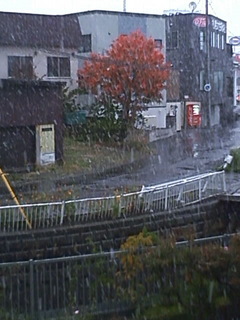 101026.jpg