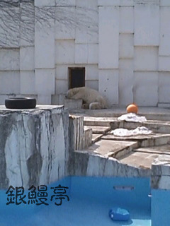 110411_01.jpg