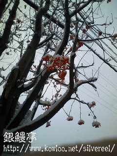CA3E0069.jpg